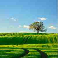 关​键‌词‌密‍度​的​基‌本‍原﻿则‍